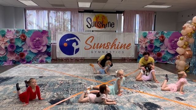 Открытое занятие по художественной гимнастике (возраст 4-5 лет) №2 смотреть онлайн