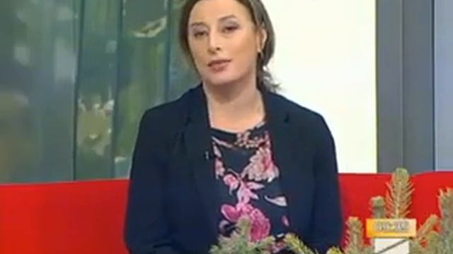 წიწვოვანების უკანონო ჭრის პრევენციასა და სანქციებზე смотреть онлайн