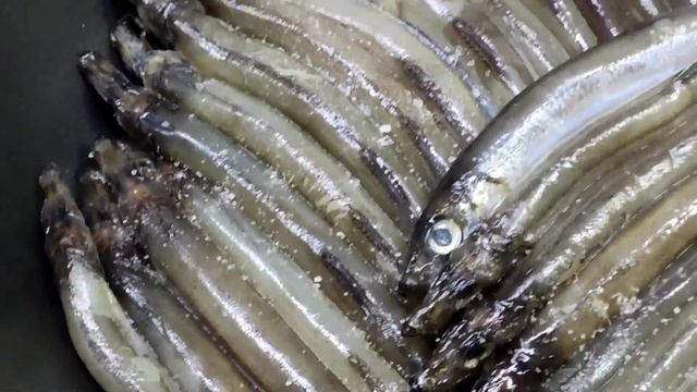 Кулинарные проекты