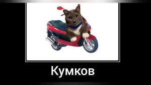 Котинет + ШИЗА =