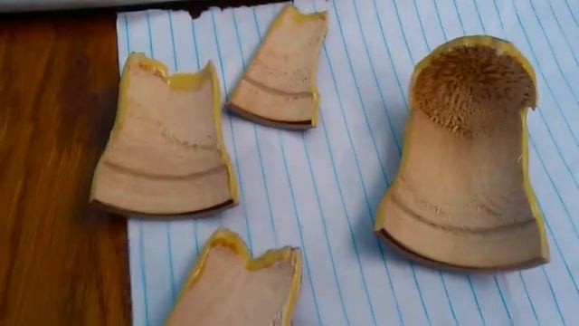 51 как склеить тонкое дерево - how to glue a thin wood смотреть онлайн