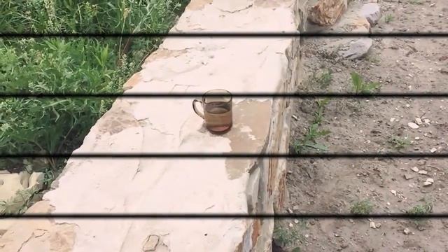 Разбиваем стакан в замедленной съёмке смотреть онлайн