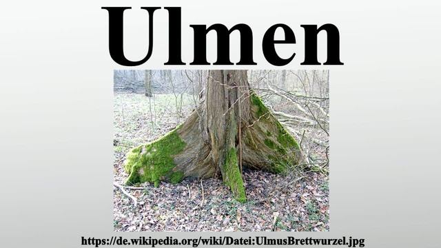 Ulmen смотреть онлайн