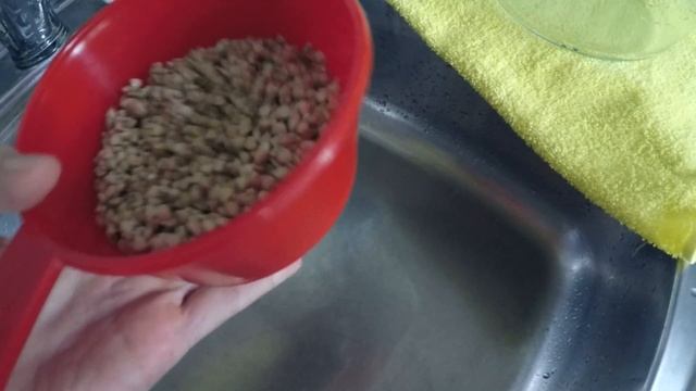 Как прорастить гречку самый простой способ