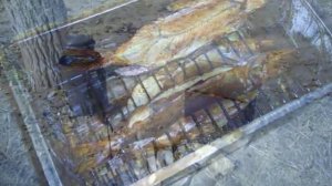 КОПТИЛЬНЯ -"ШАРАБАН", своими руками.