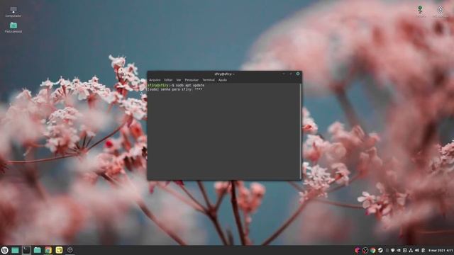 LINUX - Como Atualizar seus programas pelo terminal rapidamente. смотреть онлайн