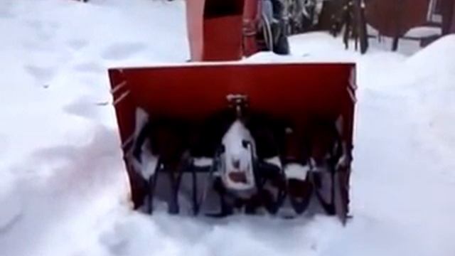 Мотоблок Львів смотреть онлайн