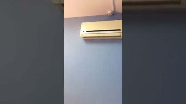 Офис на Эталоне (центр Иркутска) смотреть онлайн