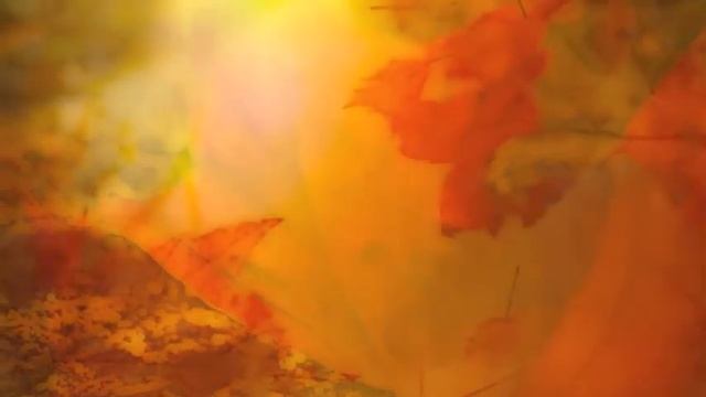 осенние листья