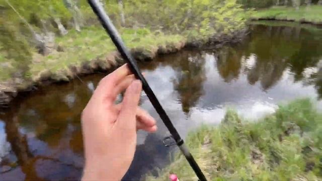 БОБРЫ ПЕРЕГОРОДИЛИ ХОД РЫБЕ! Прогулка по реке с рыбалкой, чай в котелке и рыба на рожне. смотреть онлайн