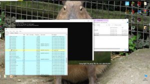 Ошибка при загрузке кряк Cortex Client 1 12 2