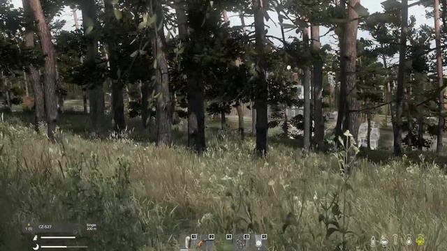 A successful raid starts with a successful hunt. DayZ 1.09 on IntenZ Hardcore Server смотреть онлайн