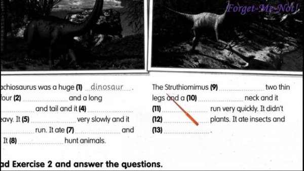 Fly High 4 FlyHigh File Dinosaurs pp. 38-39 ✅ Activity Book✔Відеоурок