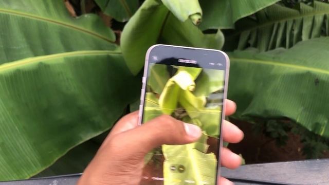 iPhone 13 Review: Don't Let the “Old” Model Slow You Down #apple смотреть онлайн