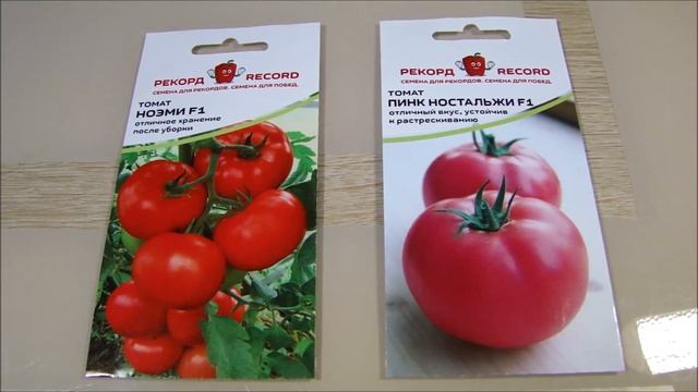 Сею Томаты для раннего урожая, Томатных деревьев и Сельдерей! смотреть онлайн