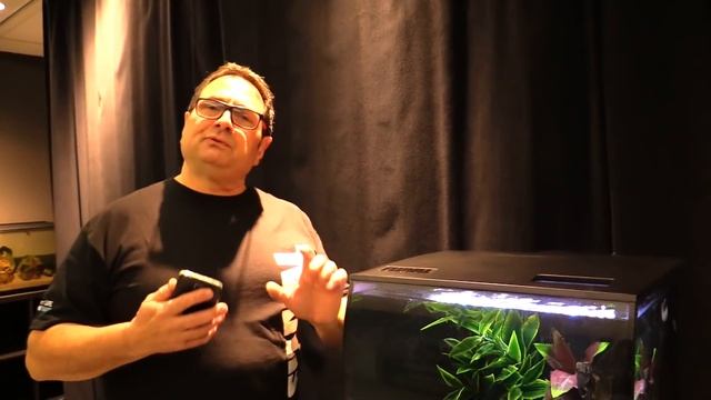 Compatible Tank Mates for Betta Fish смотреть онлайн