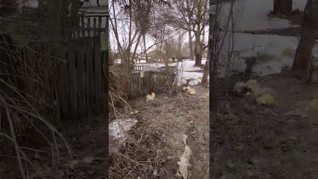 горит дом около садика на миллеровской смотреть онлайн