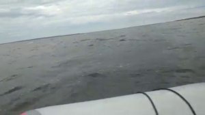 Лодка звезда 360 нднд белое море