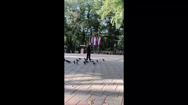 Центральный парк. Ставрополь 2021 смотреть онлайн