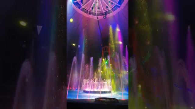 цирк на воде " Шевченко шоу" в Кисловодске смотреть онлайн