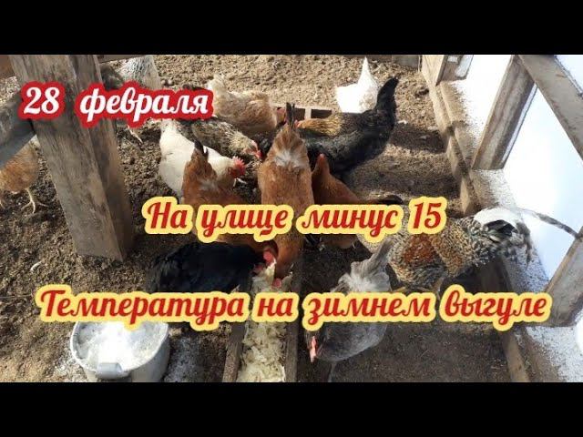 Как работает "солнечная батарея" на зимнем выгуле у курочек.... смотреть онлайн