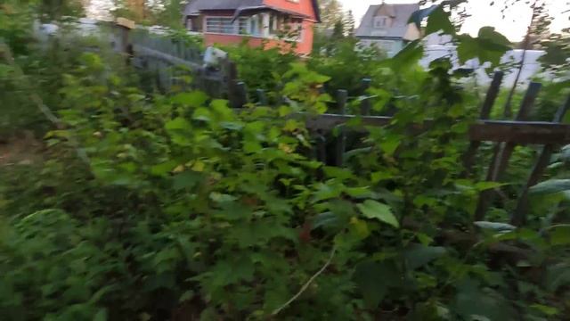 Нашла клад/освободили место для сарая/ваше мнение. смотреть онлайн