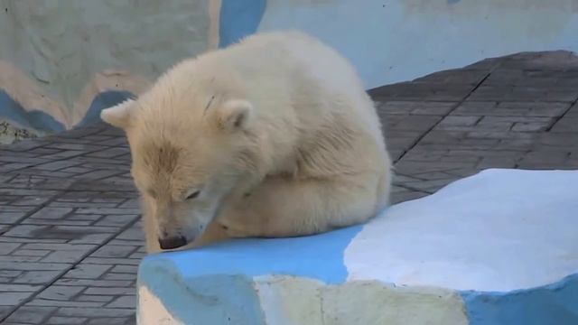 Меня мама, ой шутница, посылает за границу! Хочет от меня отделаться, чтобы с папой встретиться) смотреть онлайн