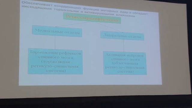 Шиза мышечные сокращения 3 смотреть онлайн
