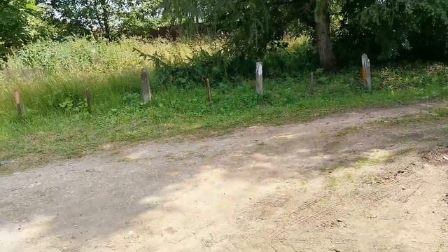 Сычево топосъёмка смотреть онлайн