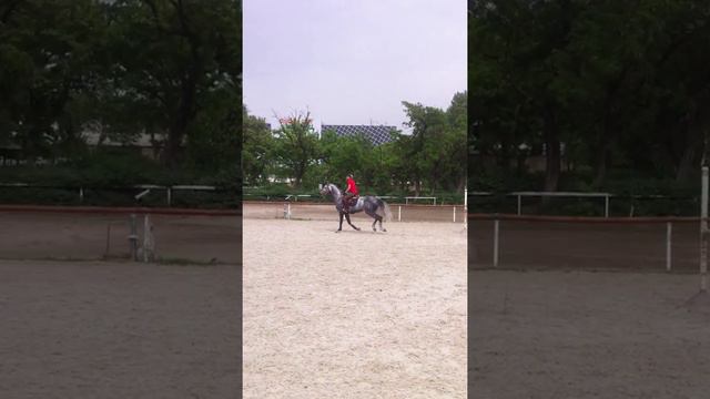 Carte Noire 2013.05.17 training смотреть онлайн