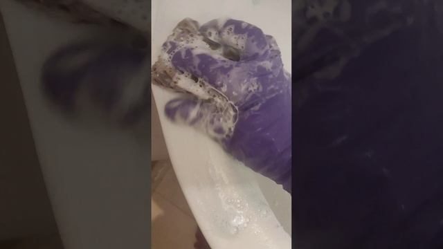 Пемолюкс +Сиф спрей+aos +фери