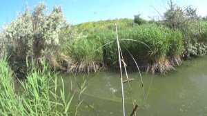 КАРП на ПОДЪЁМНИК, РЫБАЛКА НА ПАУК, ЛОВЛЯ НА ПОДЪЁМНИК, ПОДЪЁМНИК ЛЕТОМ