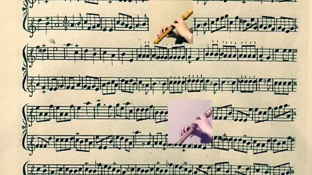 Chédeville. Les idées françoises, Op.10 24 Le Confessional. シェドヴィル смотреть онлайн