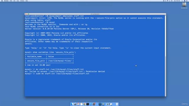 Section 4 Basic MySQL Database Administration смотреть онлайн