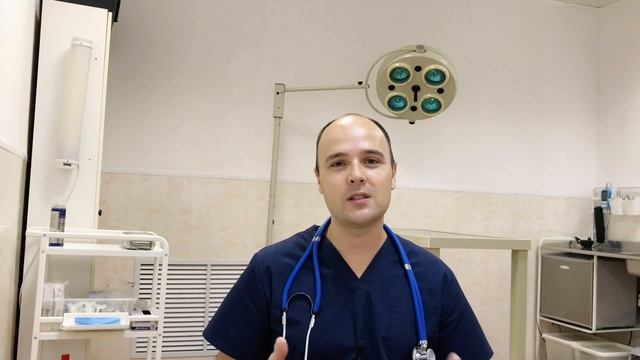 Почему кошка стала агрессивной, агрессивное поведение кошки смотреть онлайн