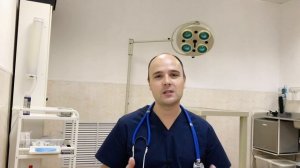 Почему кошка стала агрессивной, агрессивное поведение кошки