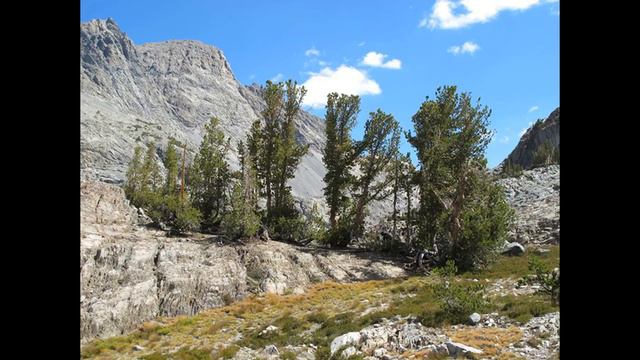 DuPonts Lost Gold Mine in New Mexico смотреть онлайн