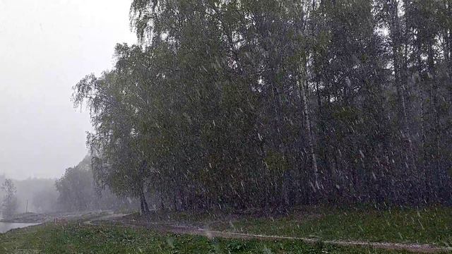 ЛЕНА СЕМЕНОВА.МАЙСКИЙ СНЕГ смотреть онлайн