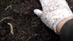 ЭЛЕКТРОГРЯДКА В ПАРНИКЕ