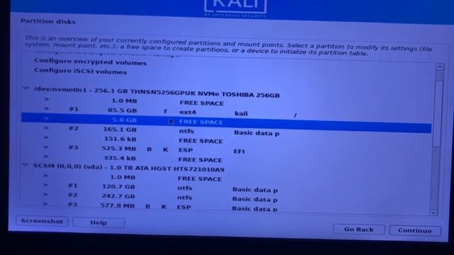 How To Install Kali Linux Dual Boot with Windows 11 Manual Partition смотреть онлайн
