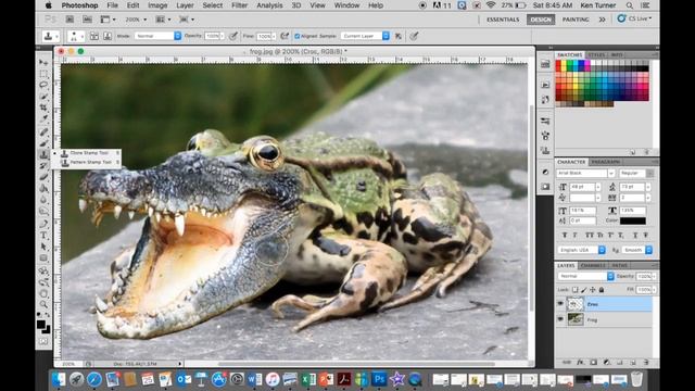 Frogodile Tutorial (Photoshop CS5 for Mac) смотреть онлайн