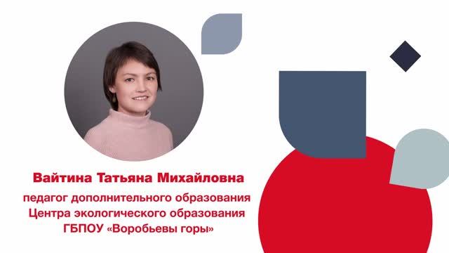 Вайтина Т.М.– номинация «Педагог дополнительного образования ГБПОУ «Воробьевы горы». смотреть онлайн