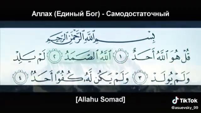 Земля под нами Аллах над нами вперед мусульмани!!!!!🔥🔥🔥🔥💣💣💣💣💣💣💣 смотреть онлайн