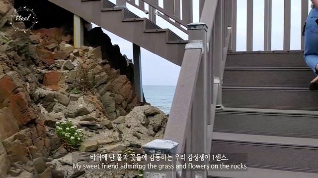Real chilling time in a cafe with waves • This is my home town • Korea 3 смотреть онлайн