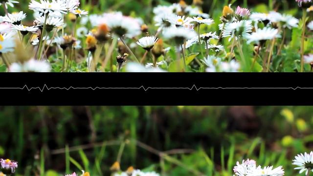 Porter Robinson~♪ Something Comforting (Acoustic Cover) смотреть онлайн