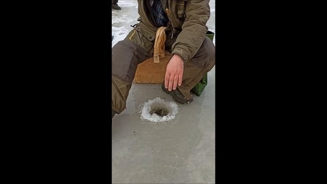 Рыбалка на Рыбинке. р. Сить смотреть онлайн