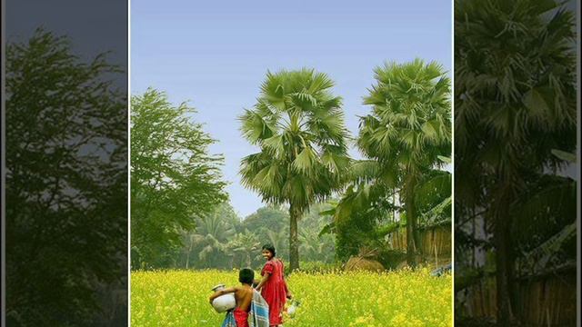 ಆಷಾಢ ಎಕಾದಶಿ ಮಹತ್ವ ಮತ್ತು ಪೂಜೆ смотреть онлайн