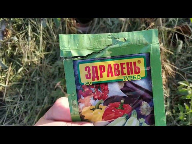 Картошки Не Будет..Подвязываем Помидоры..Кошка - Охотница. смотреть онлайн