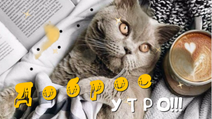 С Добрым Утром!!! Нежное и Красивое Пожелание!!!