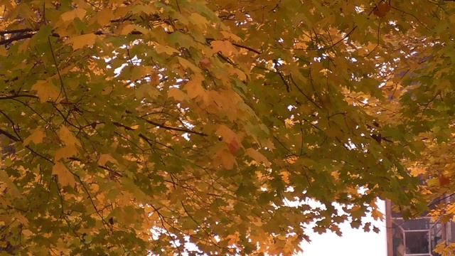 Осень смотреть онлайн